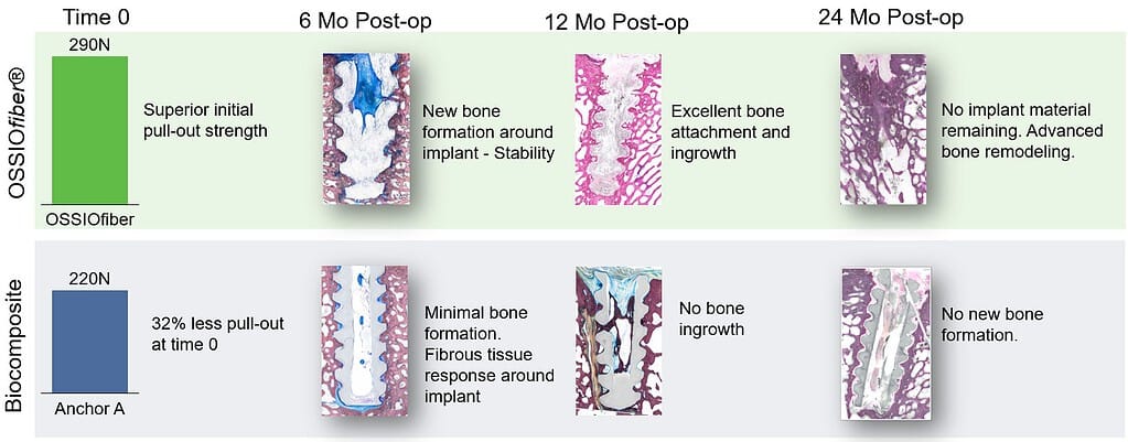 Ossio Pdf Imgs 003 Ossio – Naturally Transformative Bone Healing